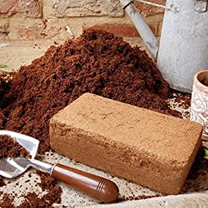 Coco Coir Brick - Image 3